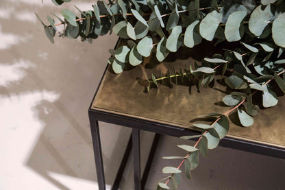 Binate Coffee Table by Novocastrian Coffee Tables