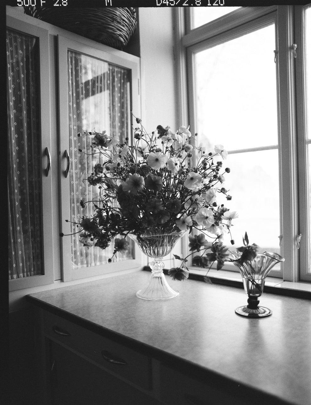 Visual Reference: Blixen Vase Small Vases