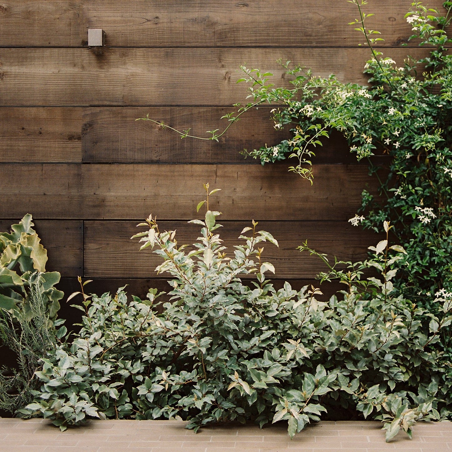 Block Sconce by ORCA Sconces