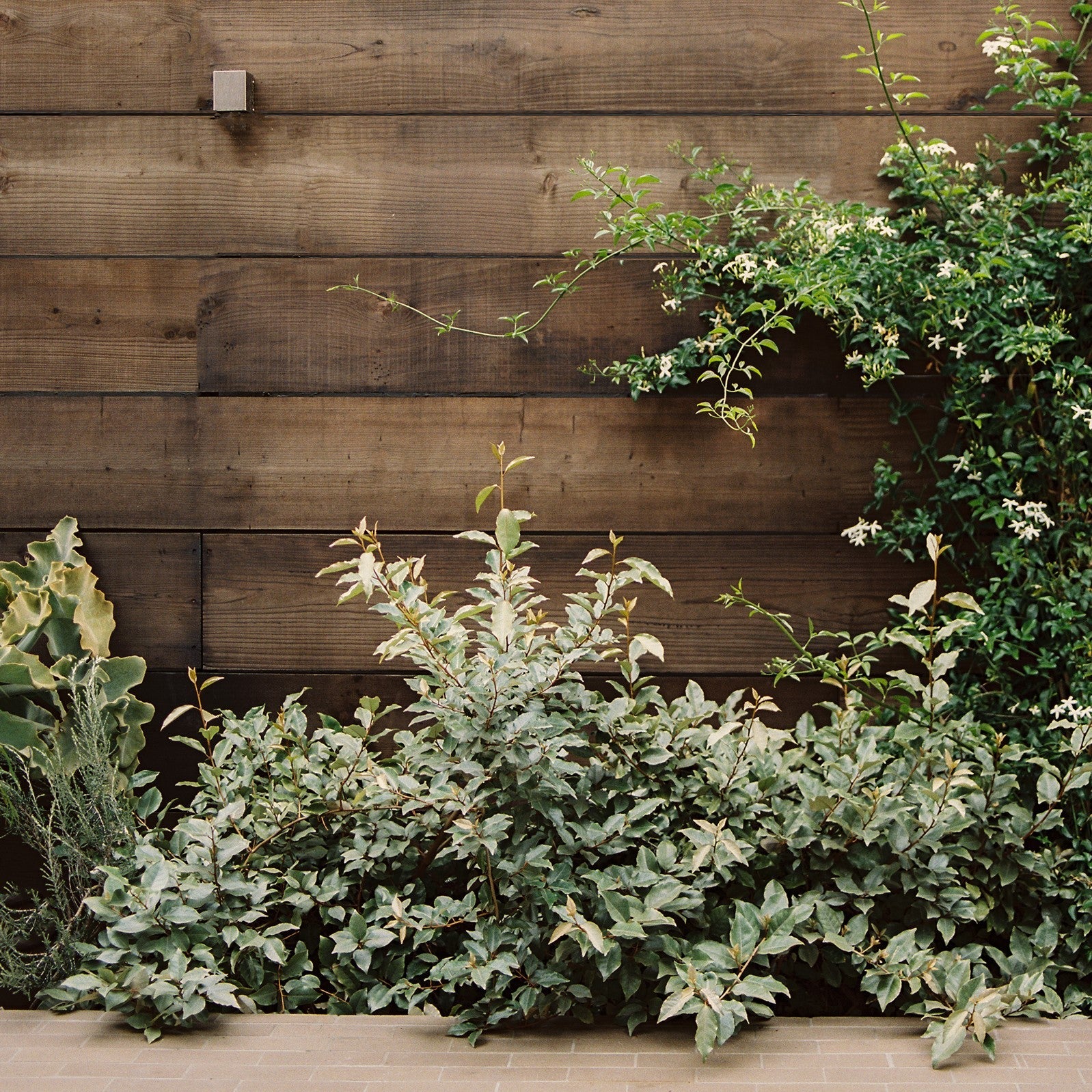 Block Sconce by ORCA Sconces