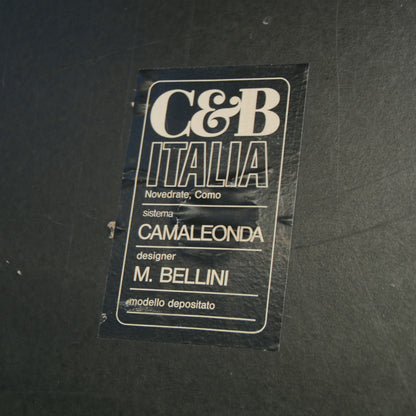 Set of 2 Camaleonda Armchairs Designed by Mario Bellini, Produced by B&B Italia, 1970 Chairs