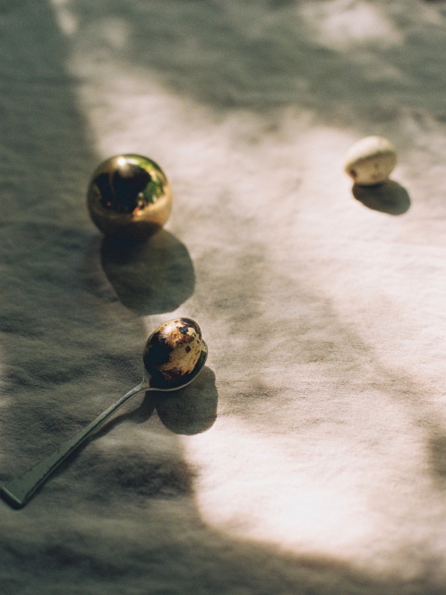 Cercle Knob - Large Hardware