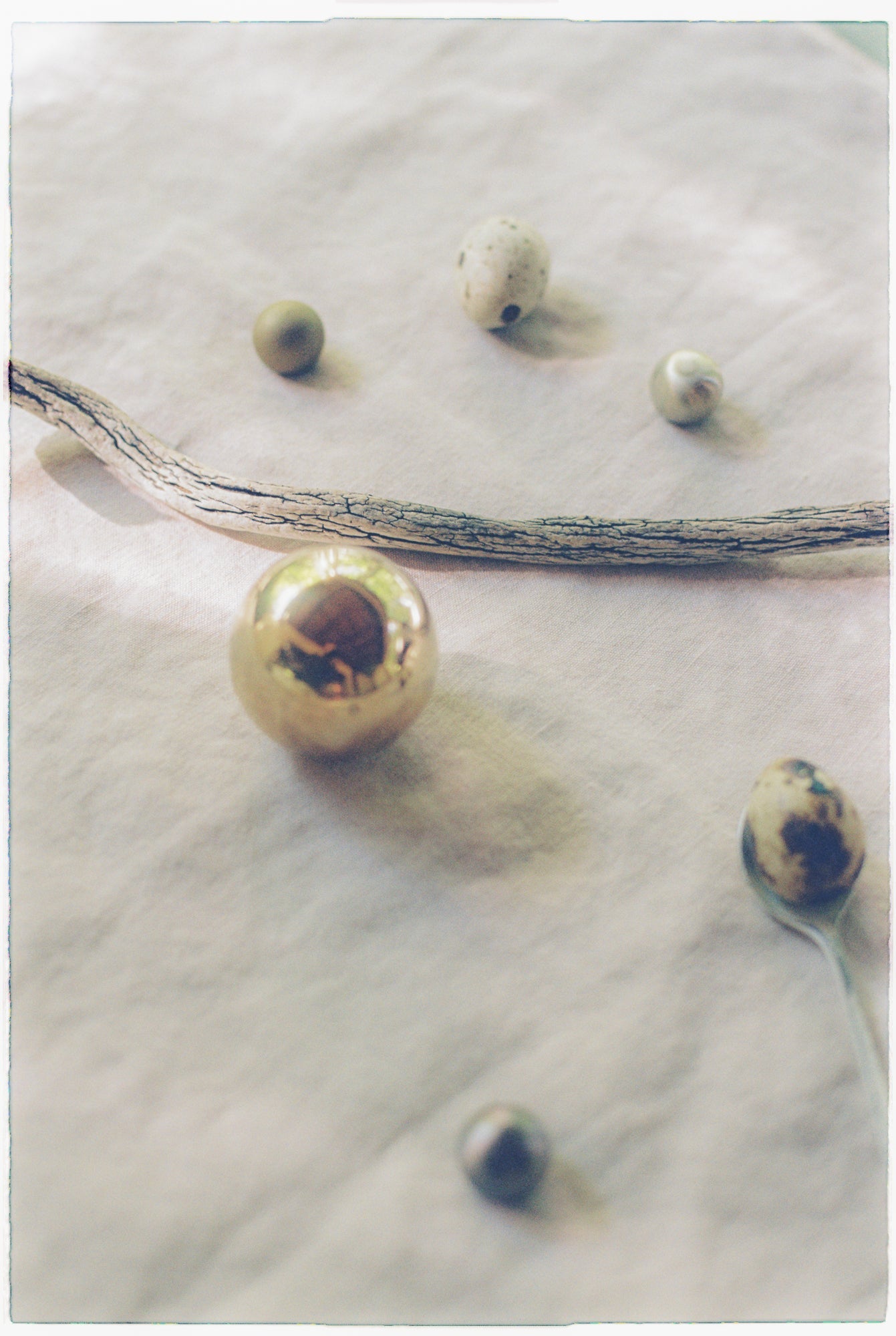 Cercle Knob - Large Hardware