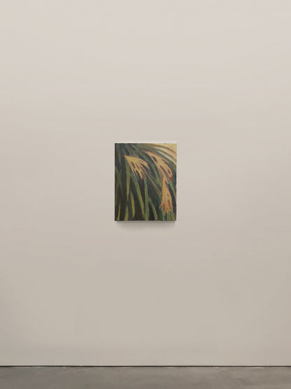 Chinese Silver Grass, 2025 Artwork