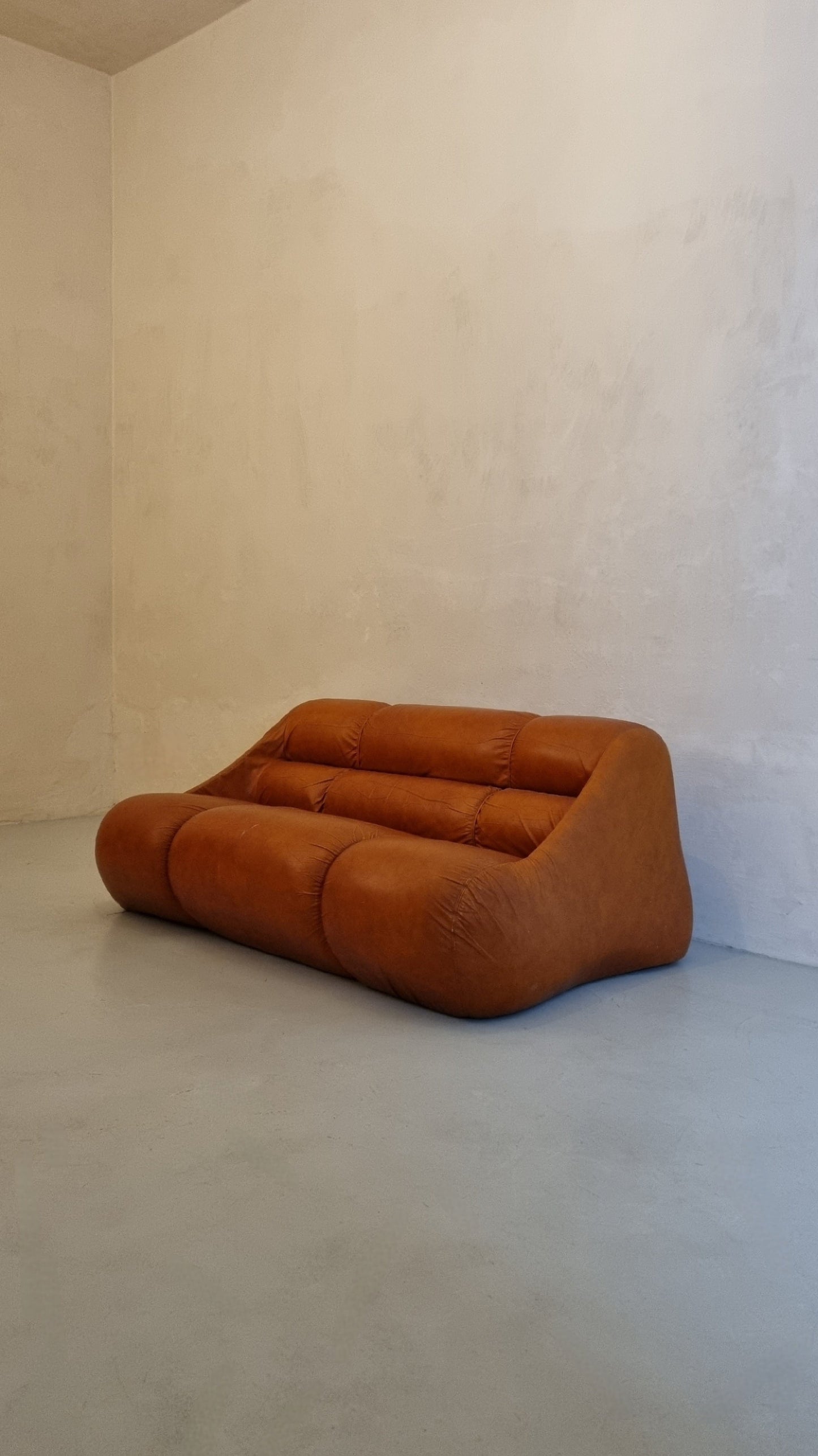 Ciuingam 2-Seater Sofa by De Pas D' Urbino & Lomazzi for BBB Bonacina Sofas Vintage