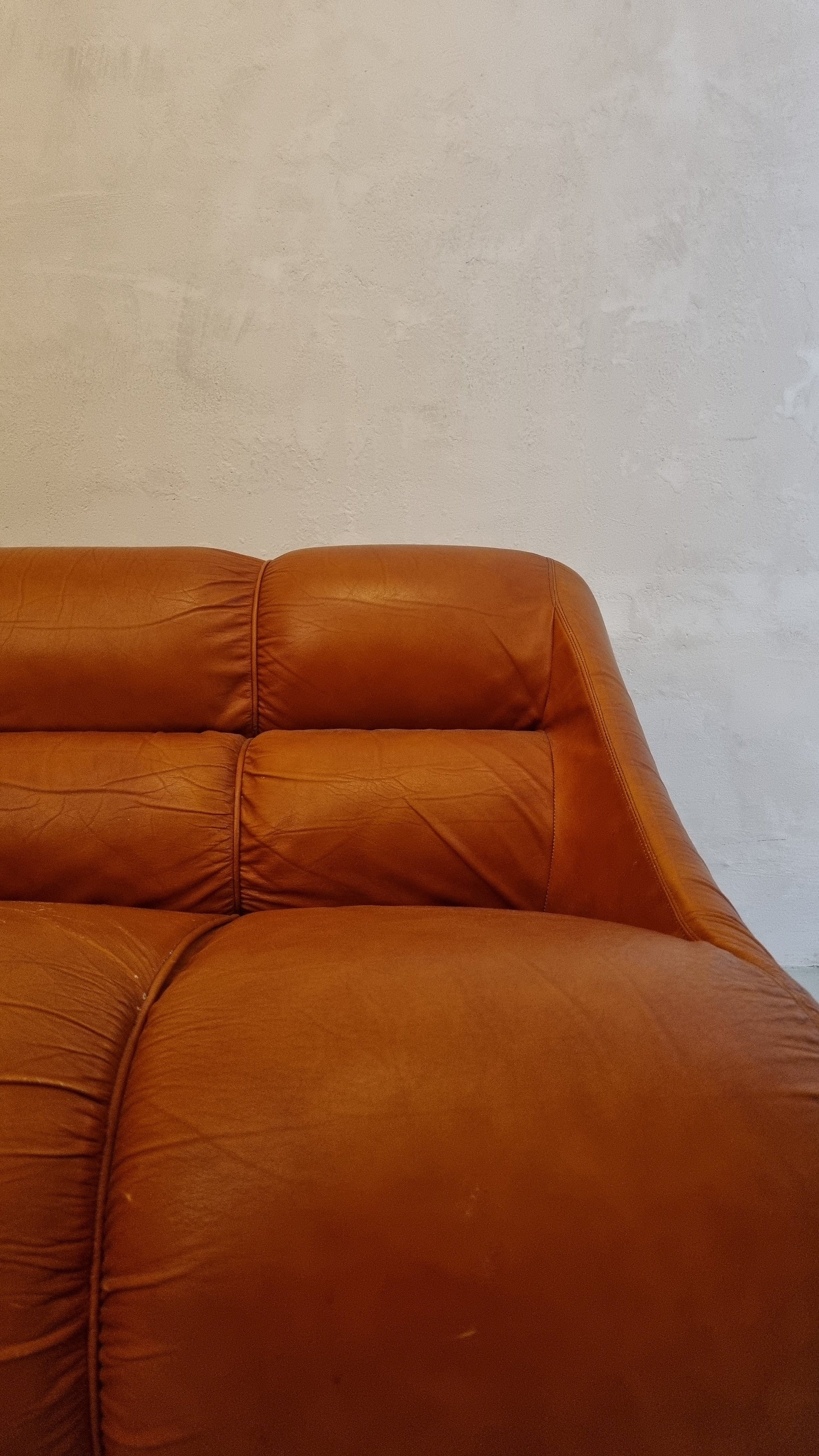 Ciuingam 2-Seater Sofa by De Pas D' Urbino & Lomazzi for BBB Bonacina Sofas Vintage
