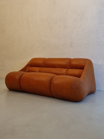 Ciuingam 2-Seater Sofa by De Pas D' Urbino & Lomazzi for BBB Bonacina Sofas Vintage