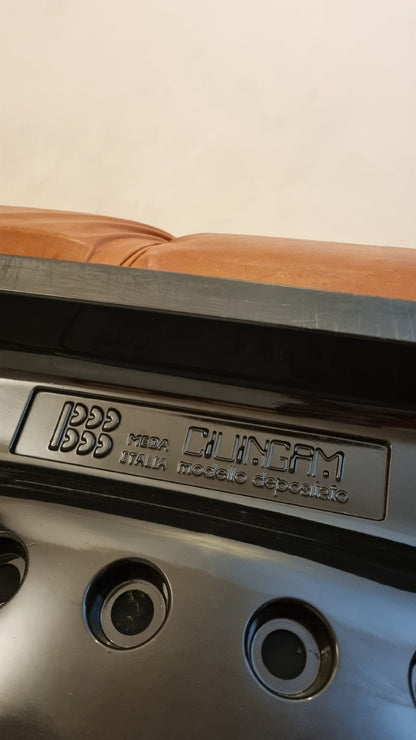 Ciuingam 2-Seater Sofa by De Pas D' Urbino & Lomazzi for BBB Bonacina Sofas Vintage