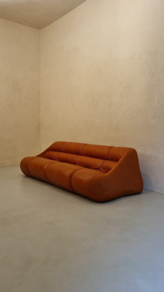 Ciuingam 3-Seater Sofa by De Pas D' Urbino & Lomazzi for BBB Bonacina Sofas Vintage