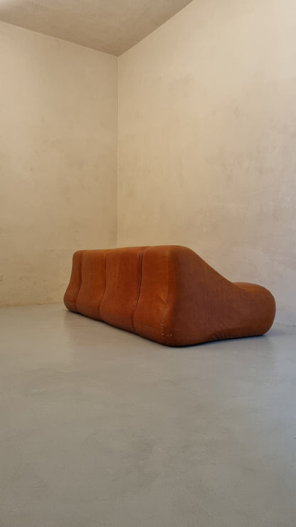 Ciuingam 3-Seater Sofa by De Pas D' Urbino & Lomazzi for BBB Bonacina Sofas Vintage