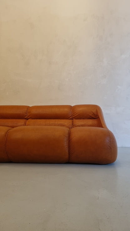Ciuingam 3-Seater Sofa by De Pas D' Urbino & Lomazzi for BBB Bonacina Sofas Vintage