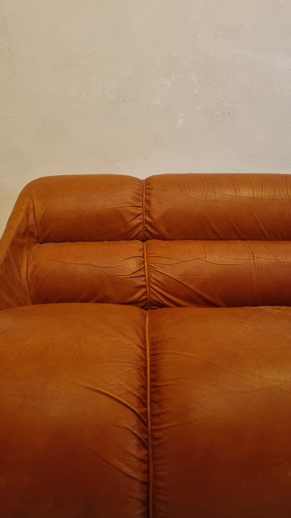 Ciuingam 3-Seater Sofa by De Pas D' Urbino & Lomazzi for BBB Bonacina Sofas Vintage