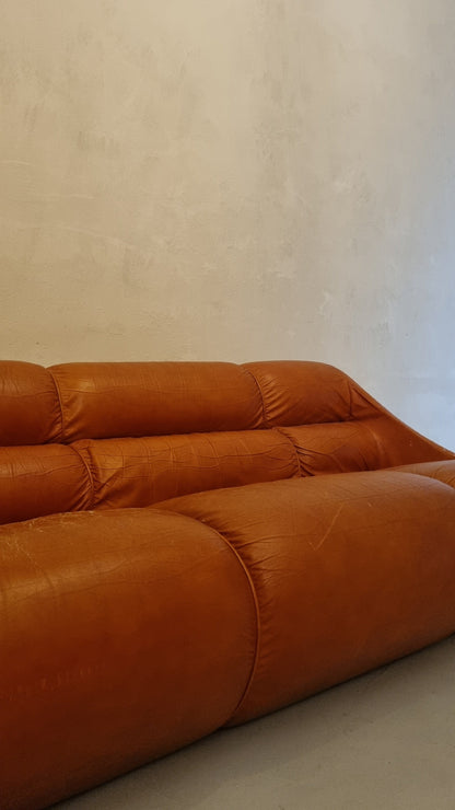 Ciuingam 3-Seater Sofa by De Pas D' Urbino & Lomazzi for BBB Bonacina Sofas Vintage