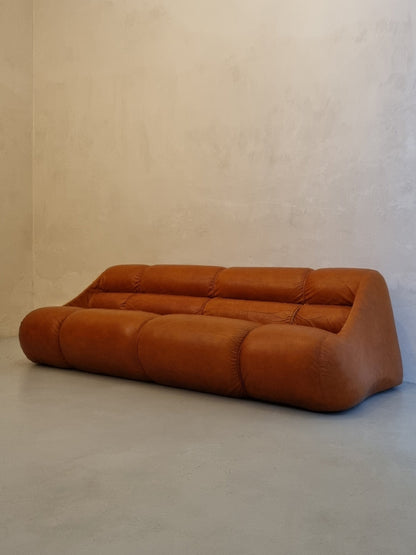 Ciuingam 3-Seater Sofa by De Pas D' Urbino & Lomazzi for BBB Bonacina Sofas Vintage