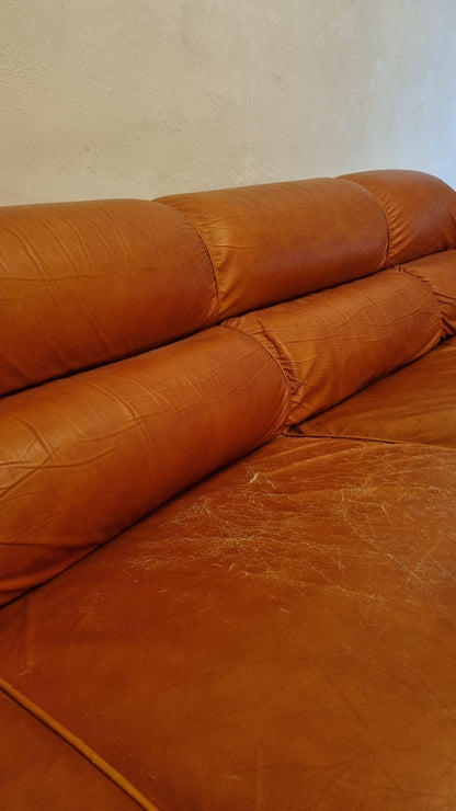 Ciuingam 3-Seater Sofa by De Pas D' Urbino & Lomazzi for BBB Bonacina Sofas Vintage