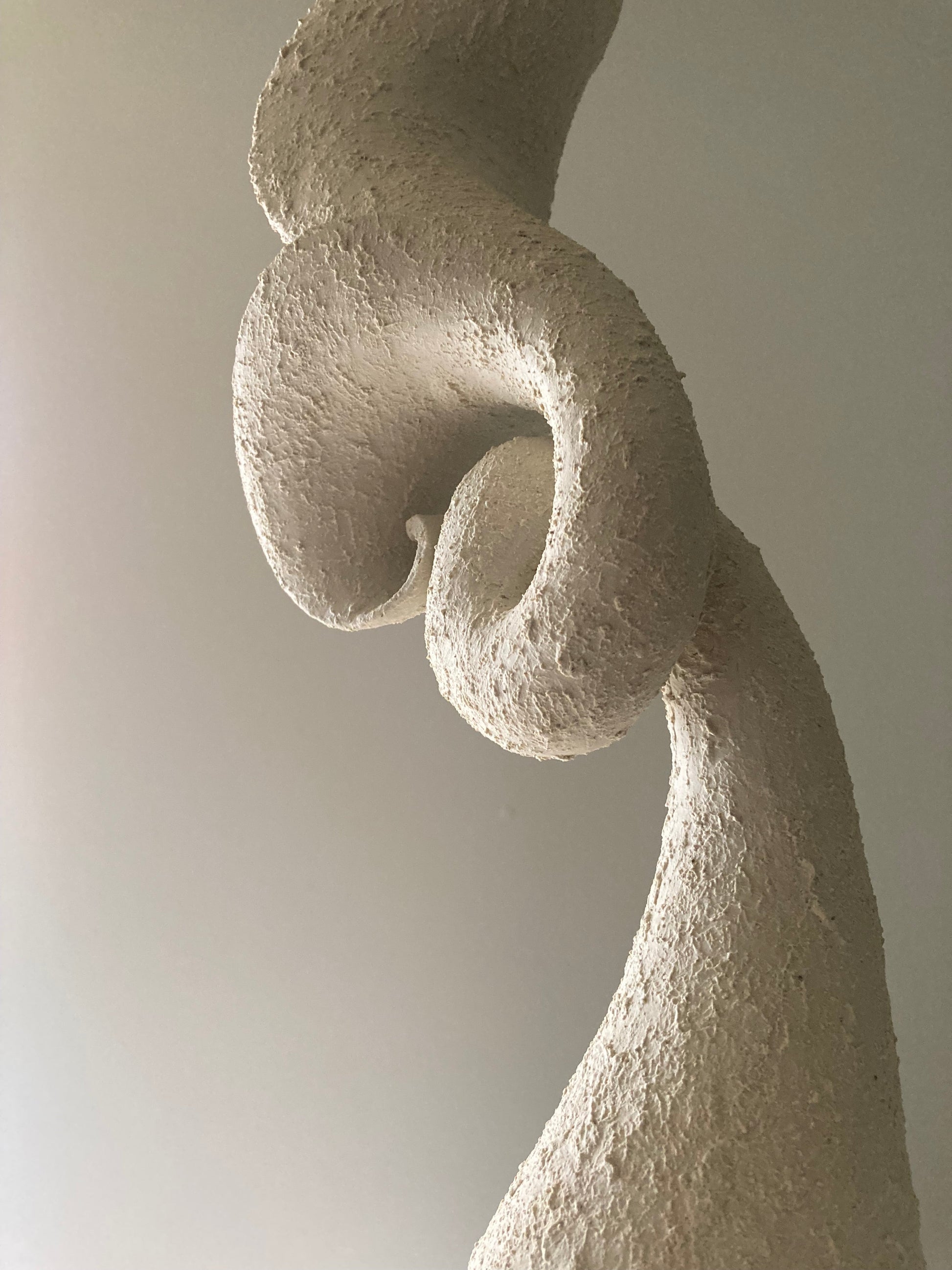 Coral Sculpture Vases