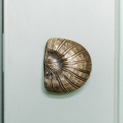 Cove Knob by Hastshilp Hardware