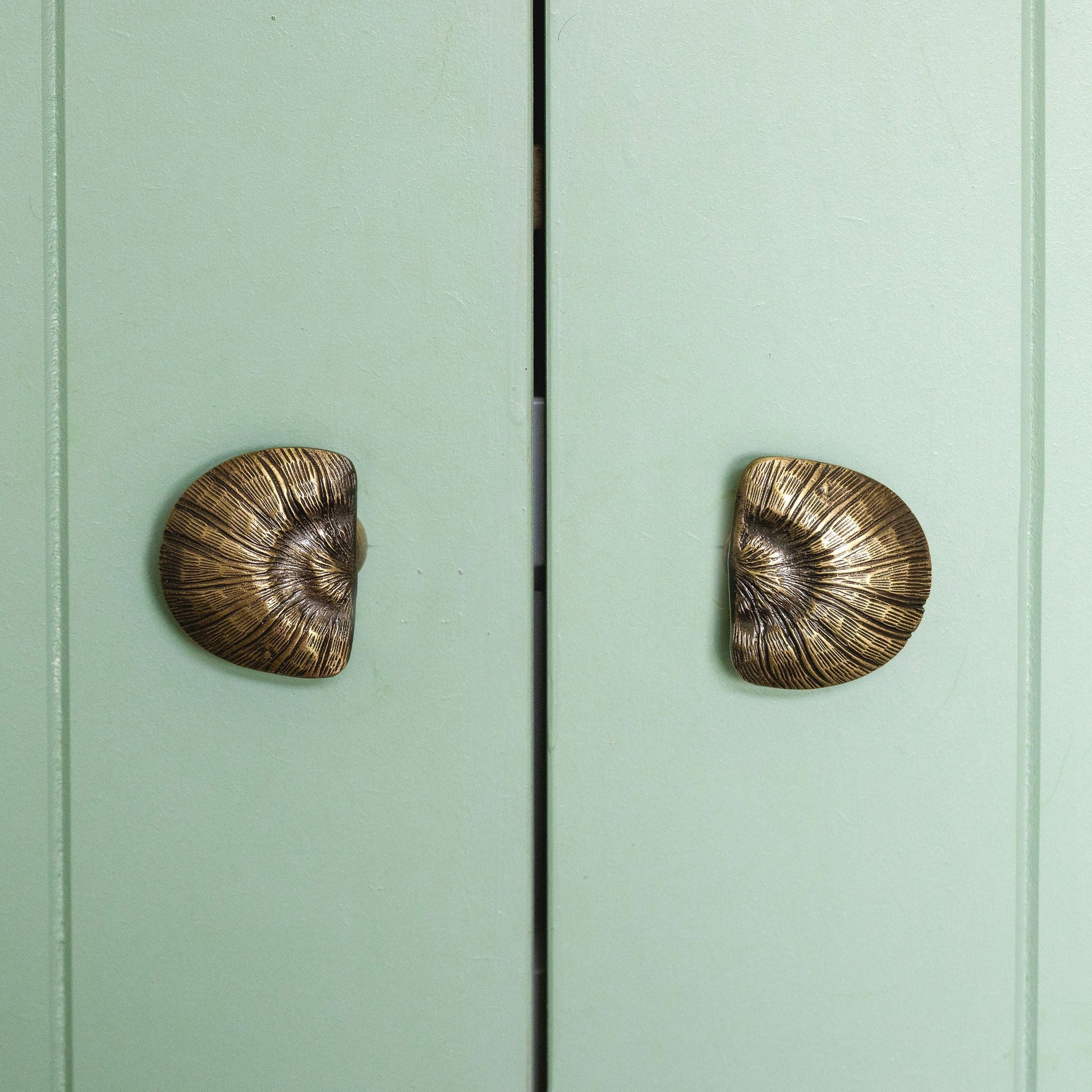 Cove Knob by Hastshilp Hardware