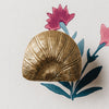 Cove Knob by Hastshilp Hardware