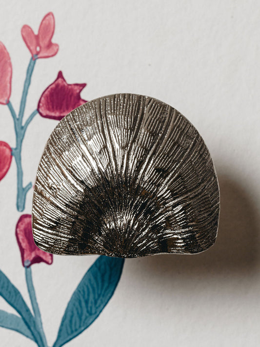 Cove Knob by Hastshilp Hardware