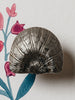 Cove Knob by Hastshilp Hardware