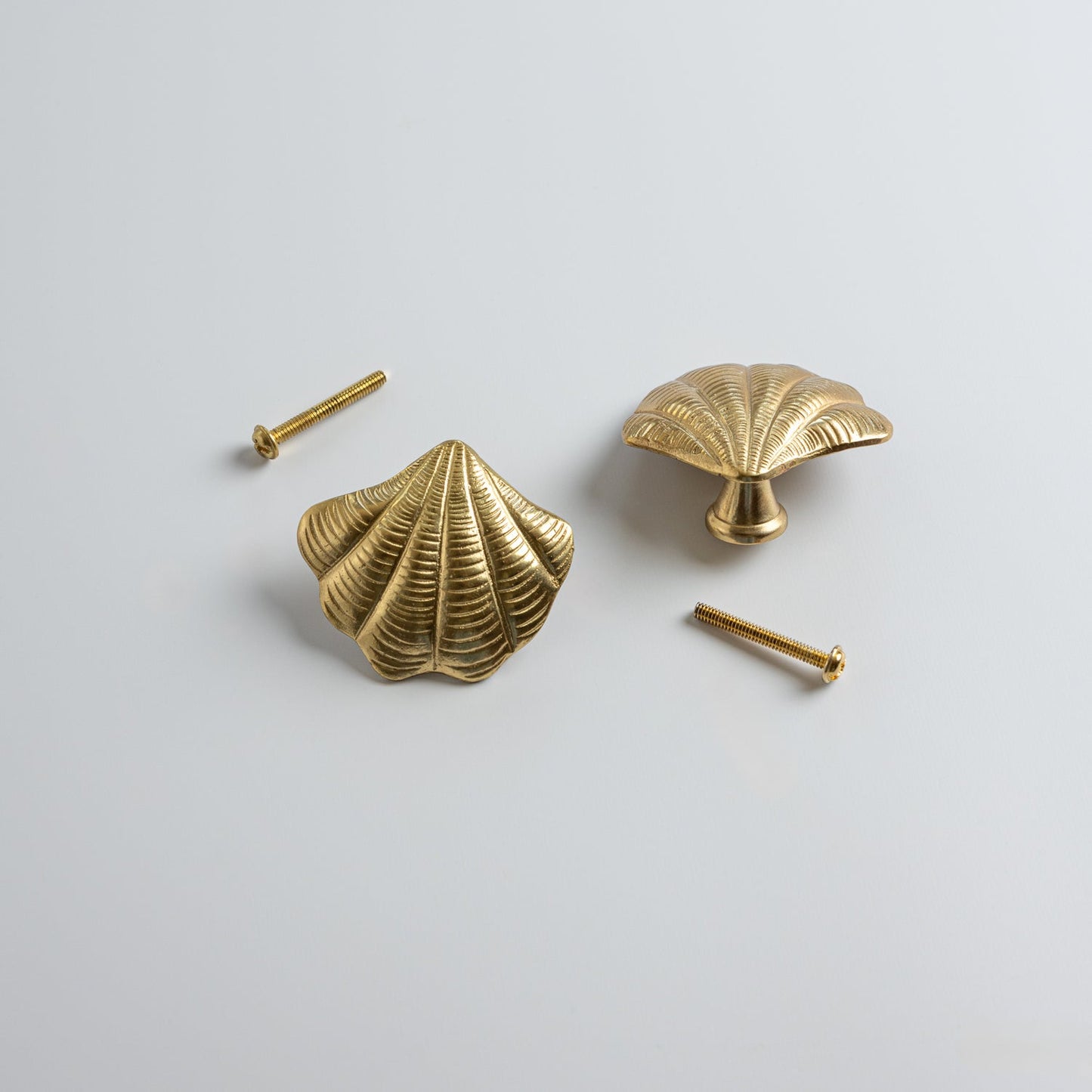 Curved Shell Knob Hardware