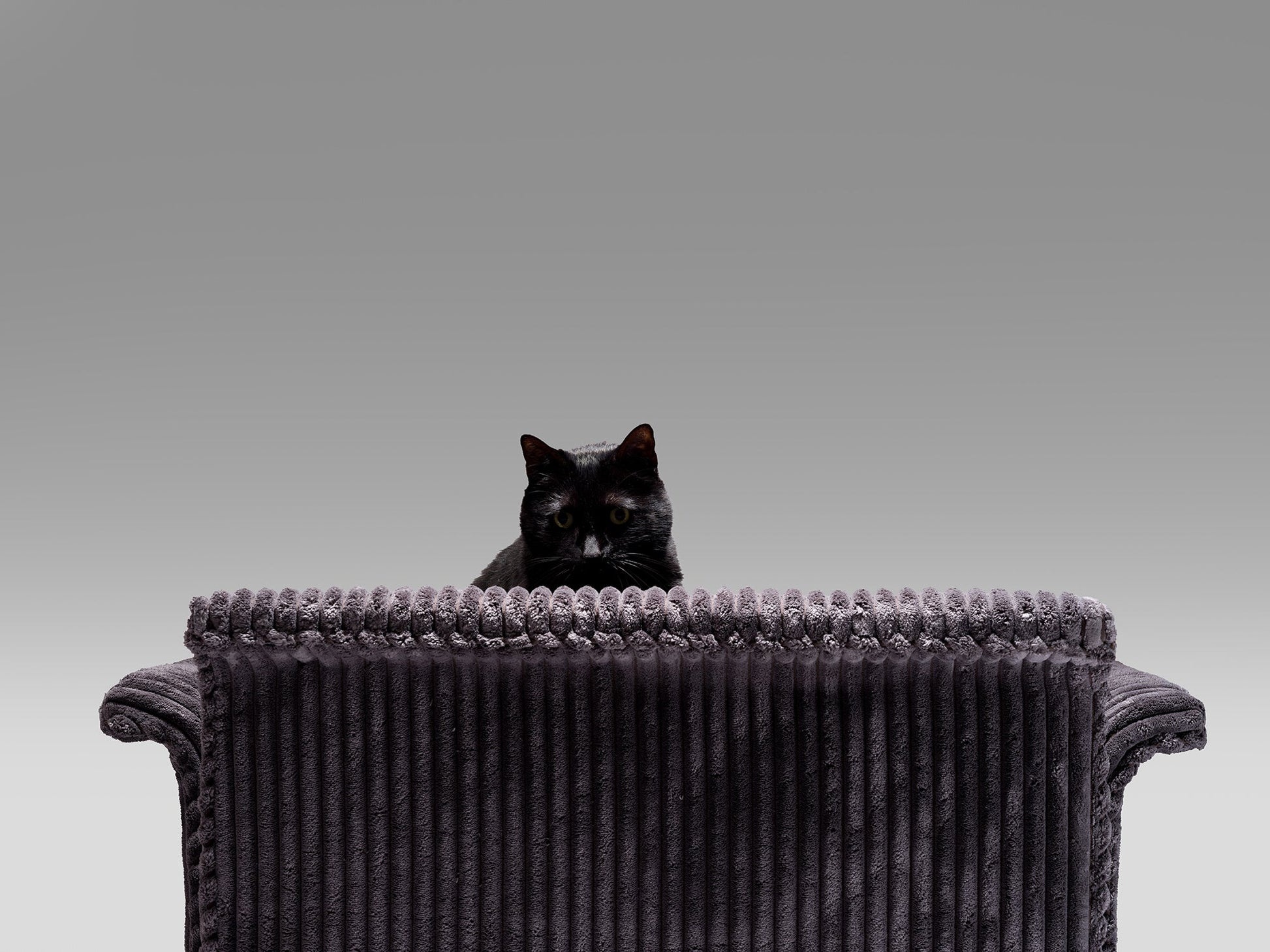 Dry Kiss Lounge Chair Chairs