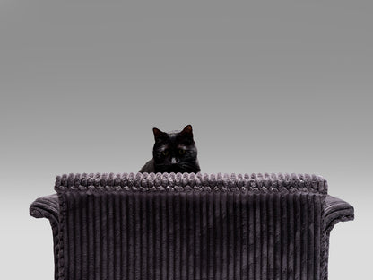 Dry Kiss Lounge Chair Chairs