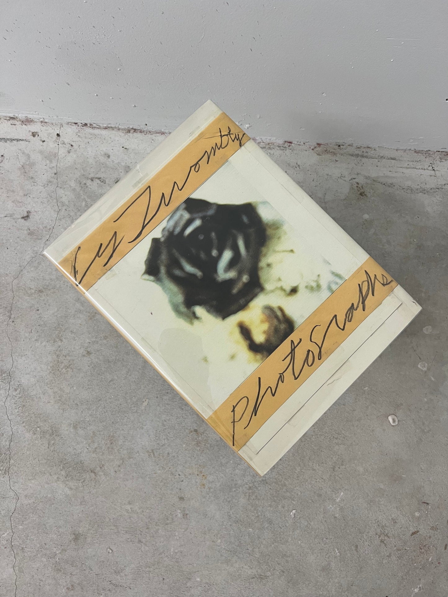 Cy Twombly: Photographs 1951–1999