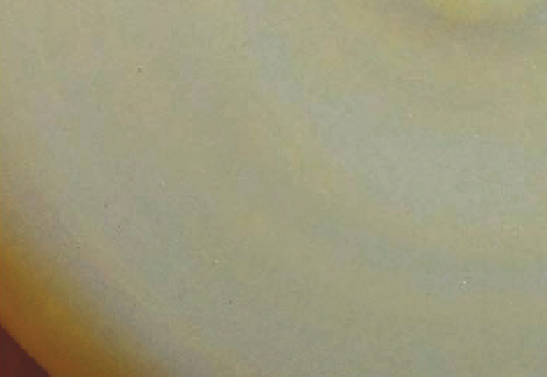 Vy Voi Glaze - Egg Coffee only