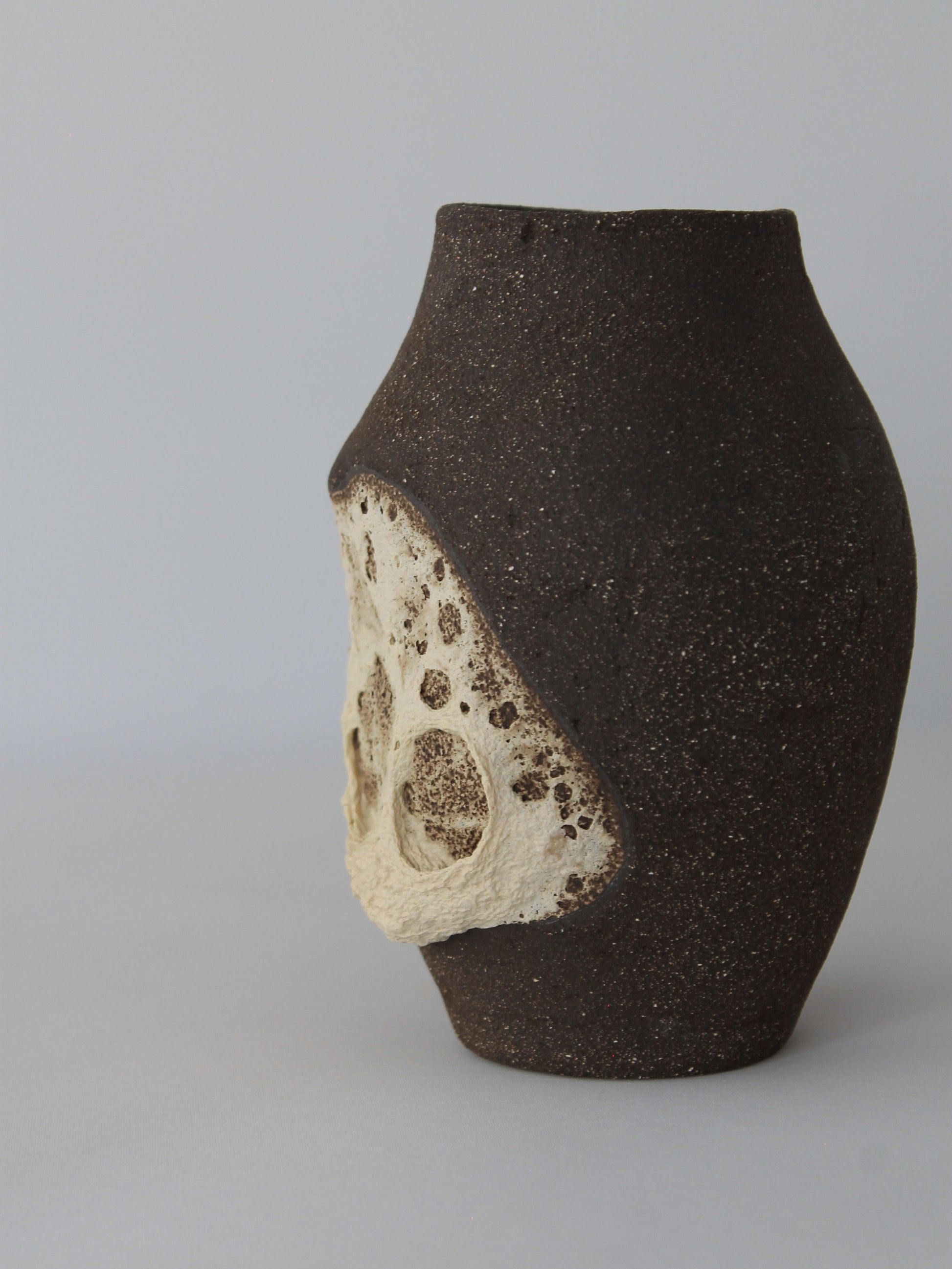 Fossil Echo Vase - Story by Maku Ceramics Vases
