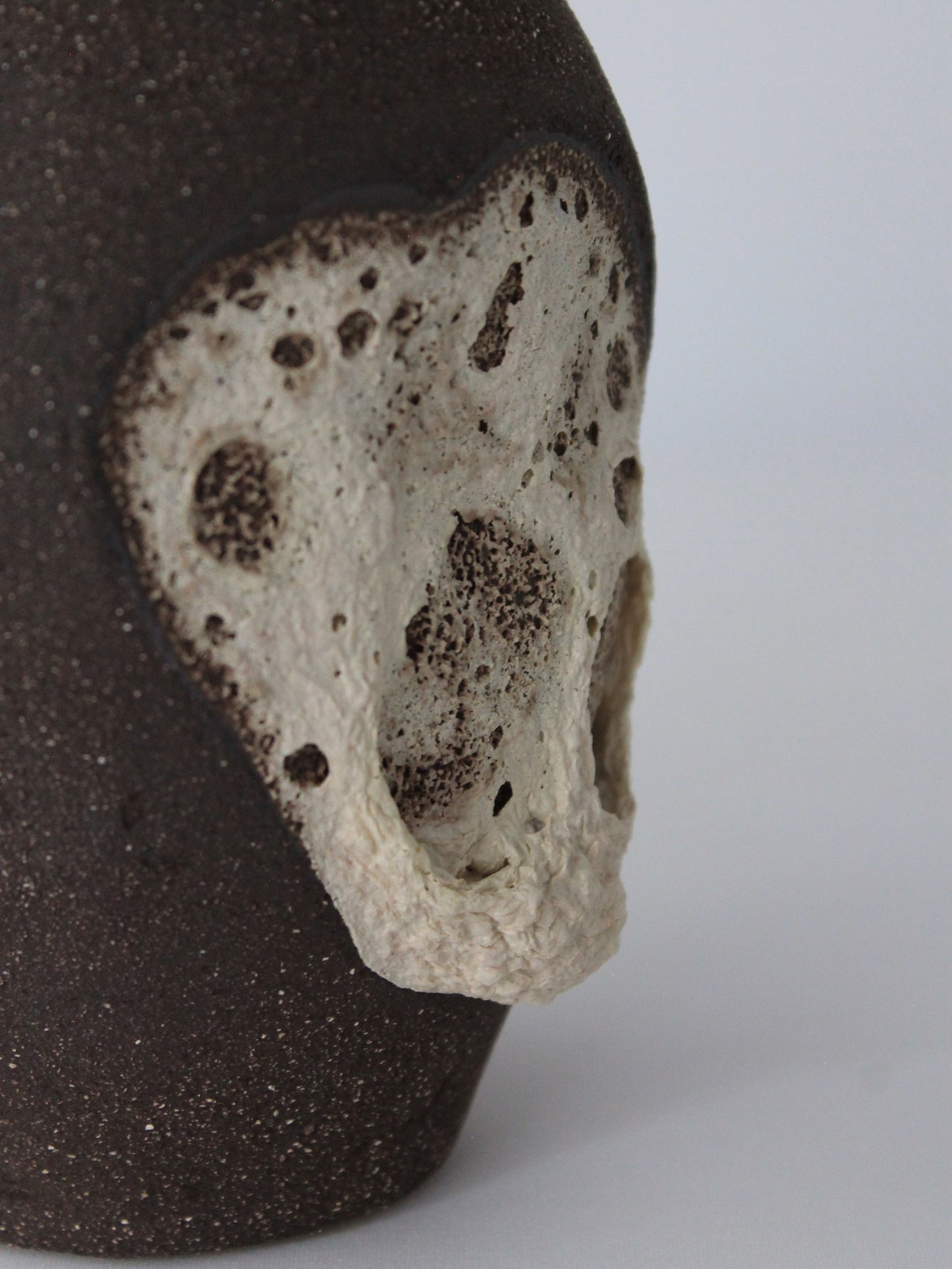 Fossil Echo Vase - Story by Maku Ceramics Vases