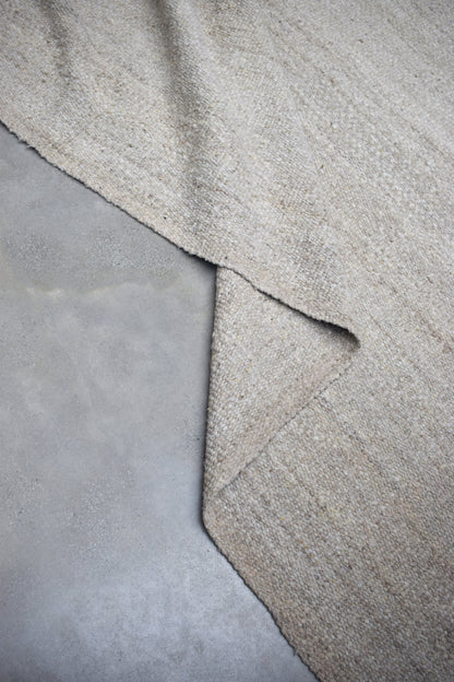 Gris Plata Rug in Medium Texture Rugs