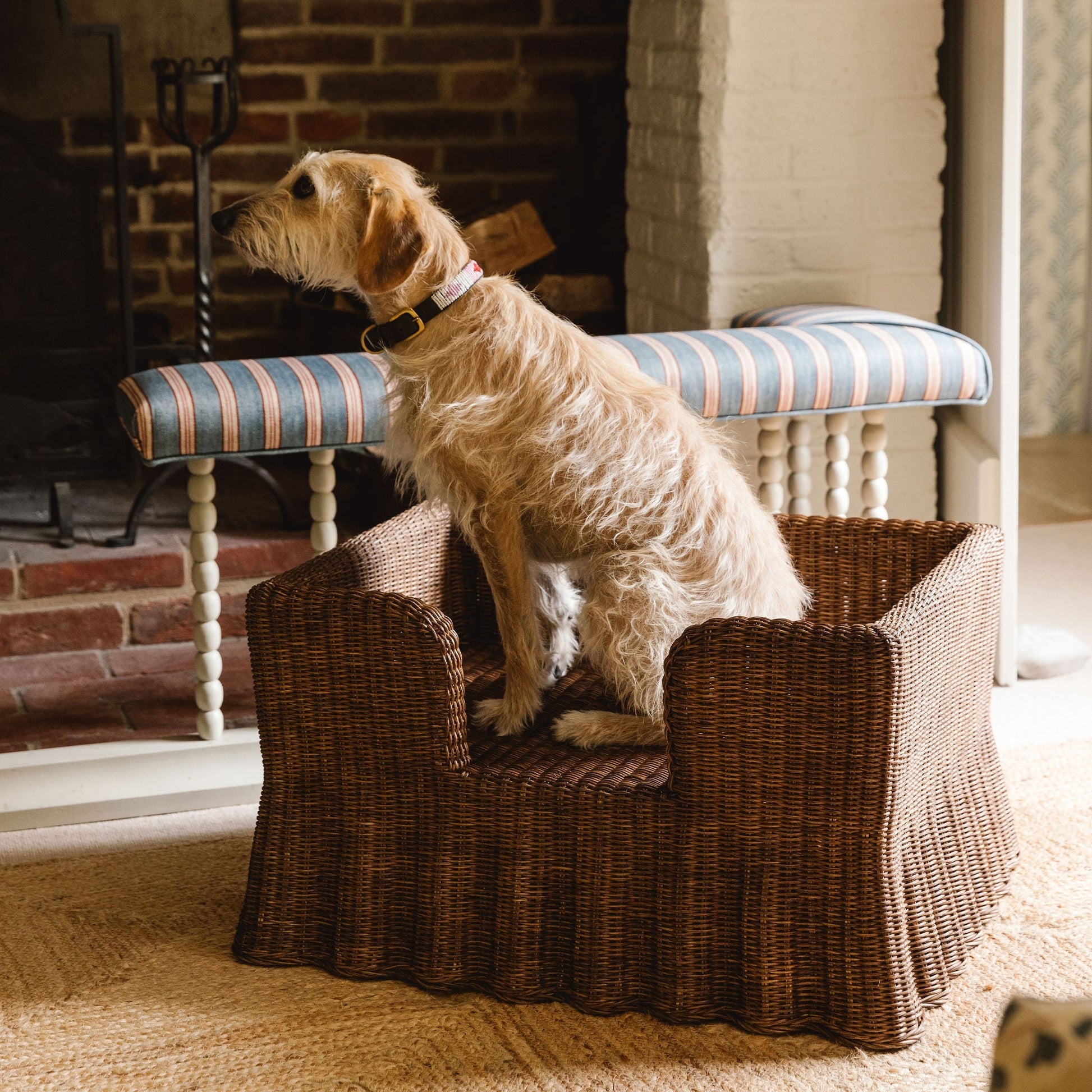 Lassie Rattan Wavy Dog Bed Pets