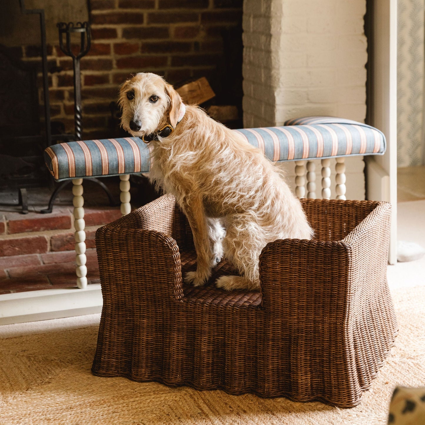 Lassie Rattan Wavy Dog Bed Pets