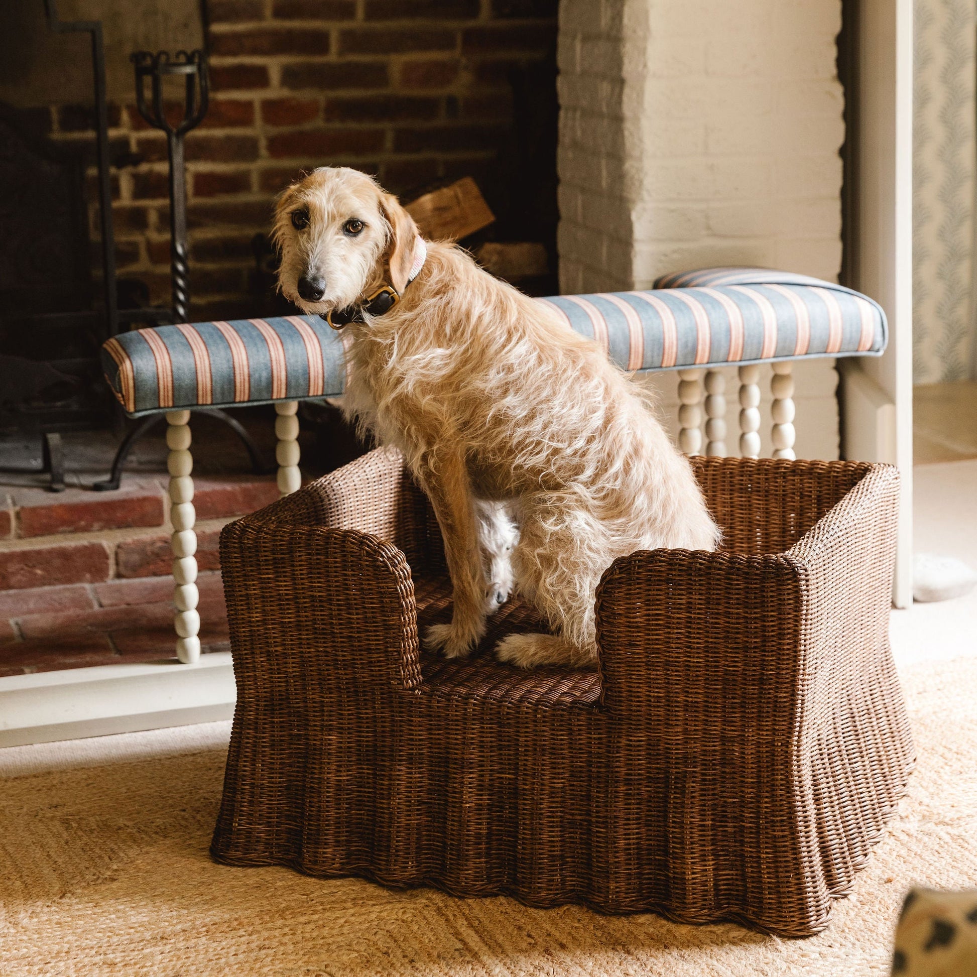 Lassie Rattan Wavy Dog Bed Pets