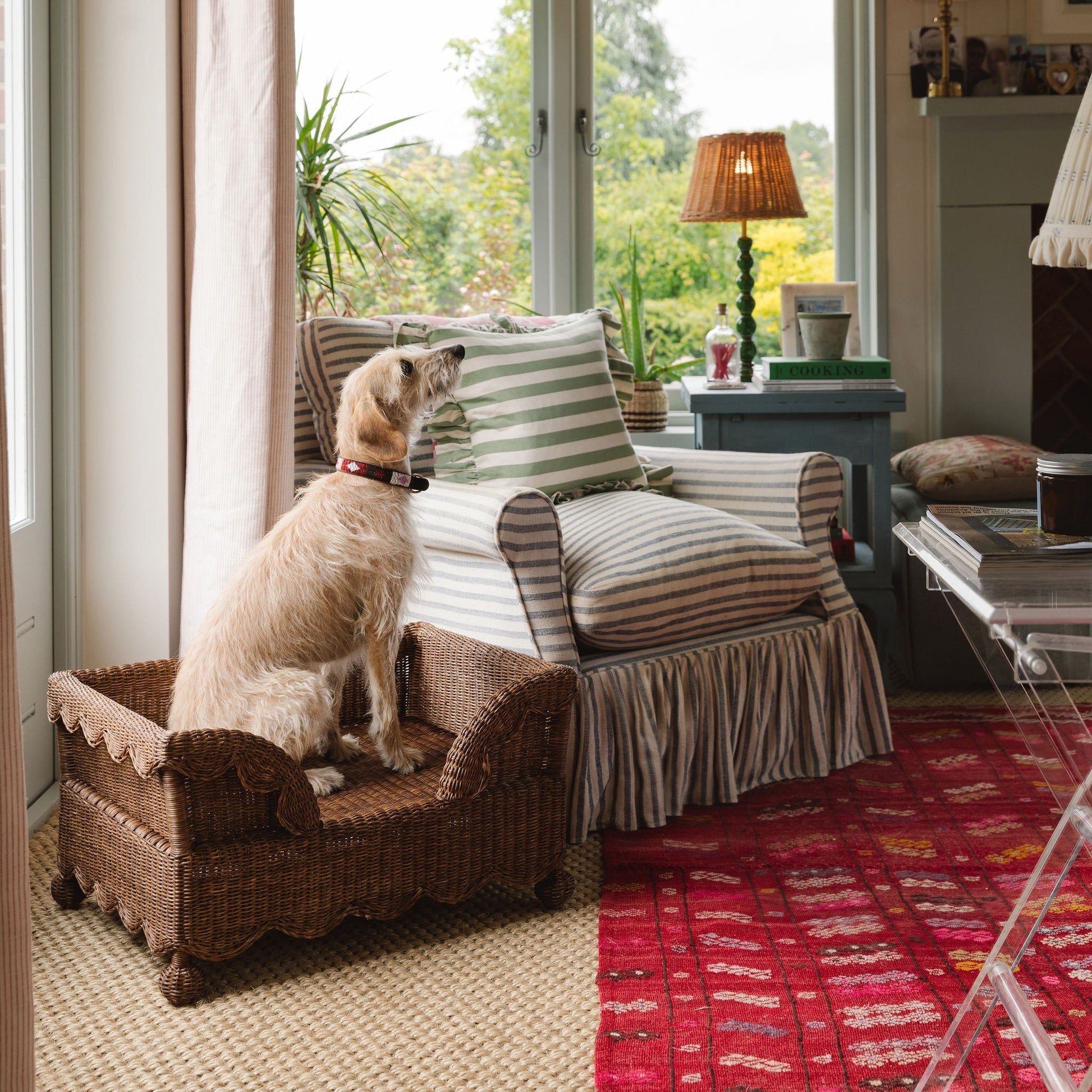 Ziggy Rattan Scalloped Dog Bed Pets