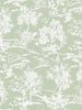 La Poursuite Matcha Latte Wallpaper Wallpaper