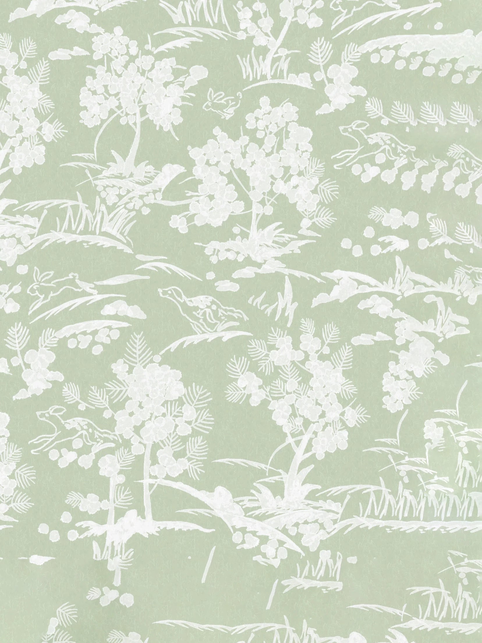 La Poursuite Matcha Latte Wallpaper Wallpaper