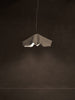 Le Fleur Pendant by Studio Tristan Kallas Pendant Lights