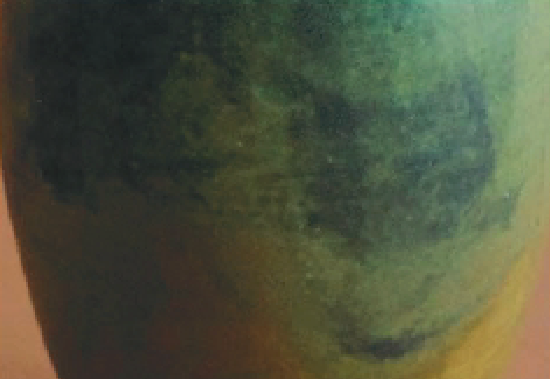 Vy Voi Glaze - Lemongrass