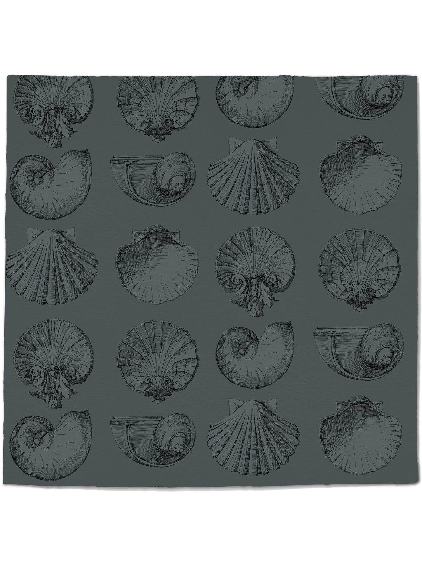 Salvador Wallpaper in Ice Berg by Papier, second view