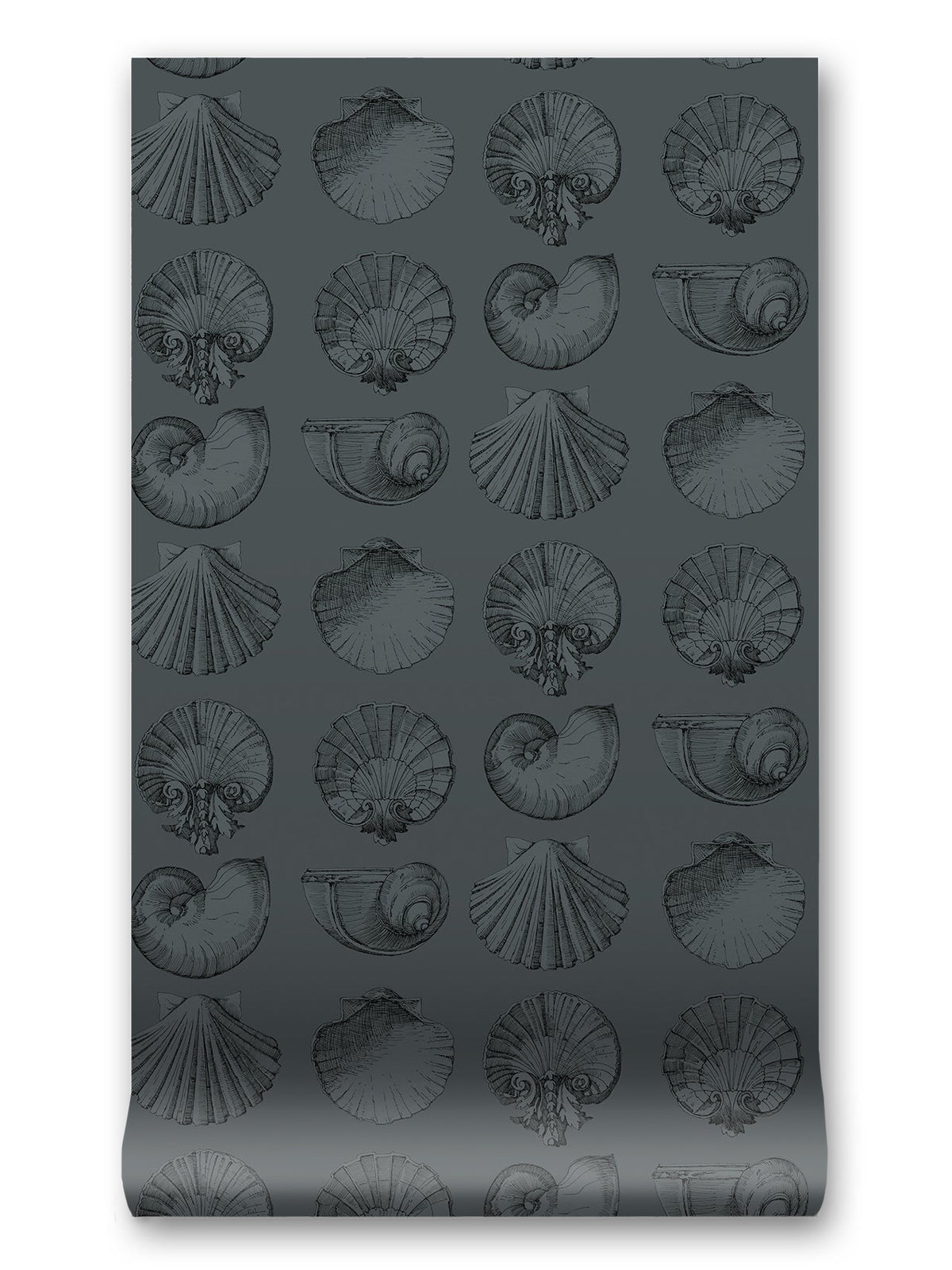 Salvador Wallpaper in Ice Berg by Papier, third view