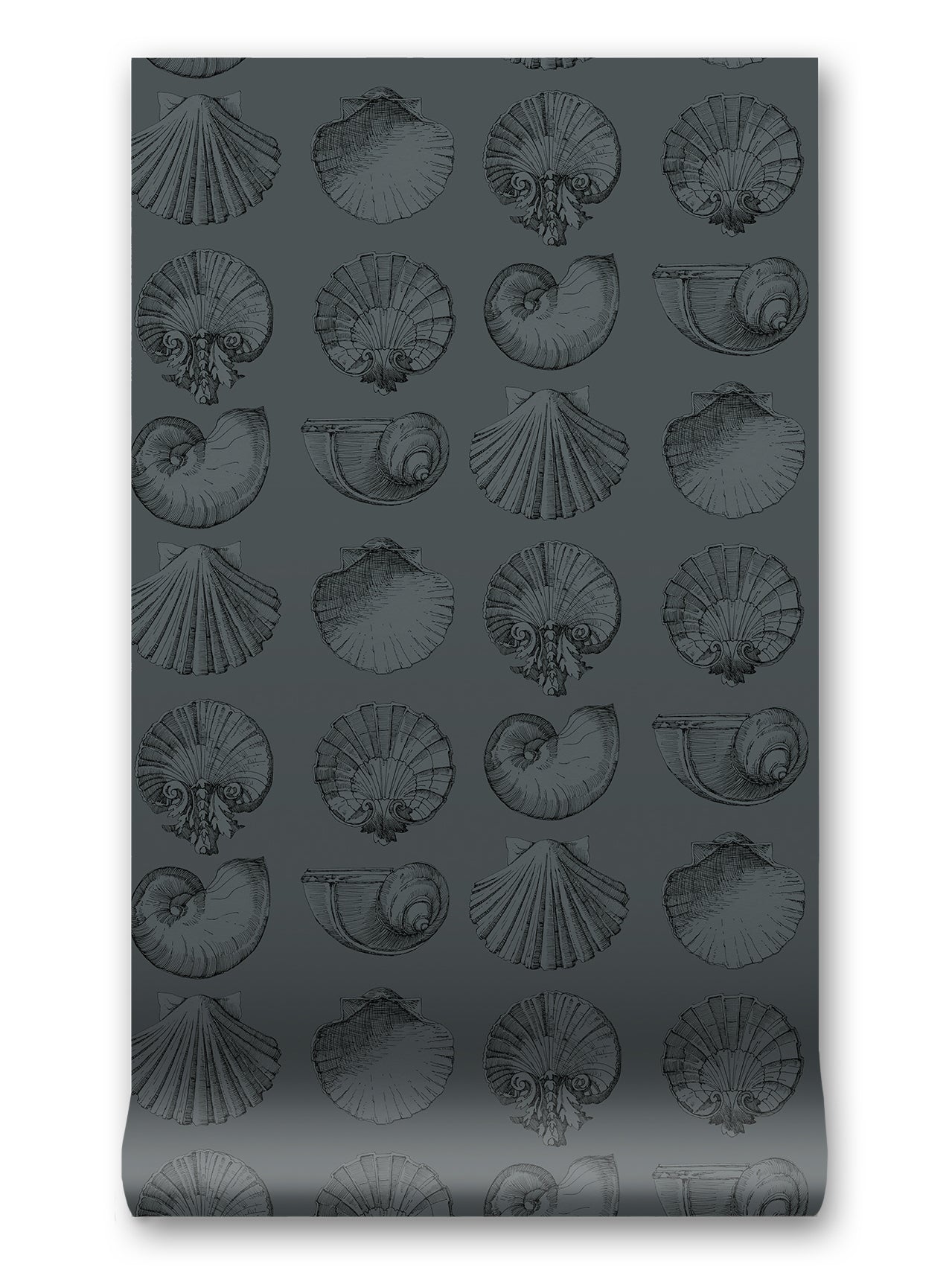 Salvador Wallpaper in Ice Berg by Papier, third view