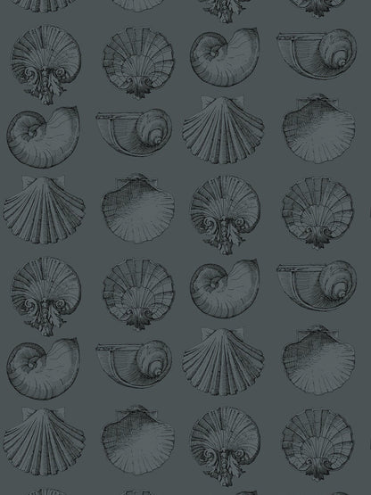 Salvador Wallpaper in Ice Berg by Papier