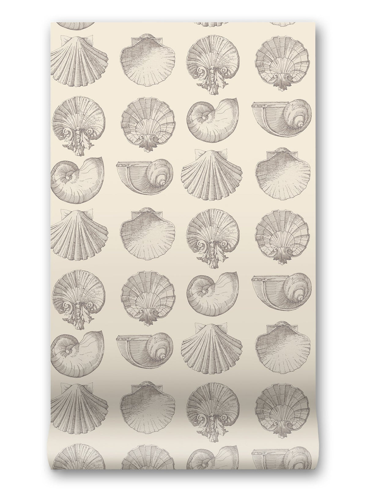 Salvador Wallpaper in Silence by Papier, third view