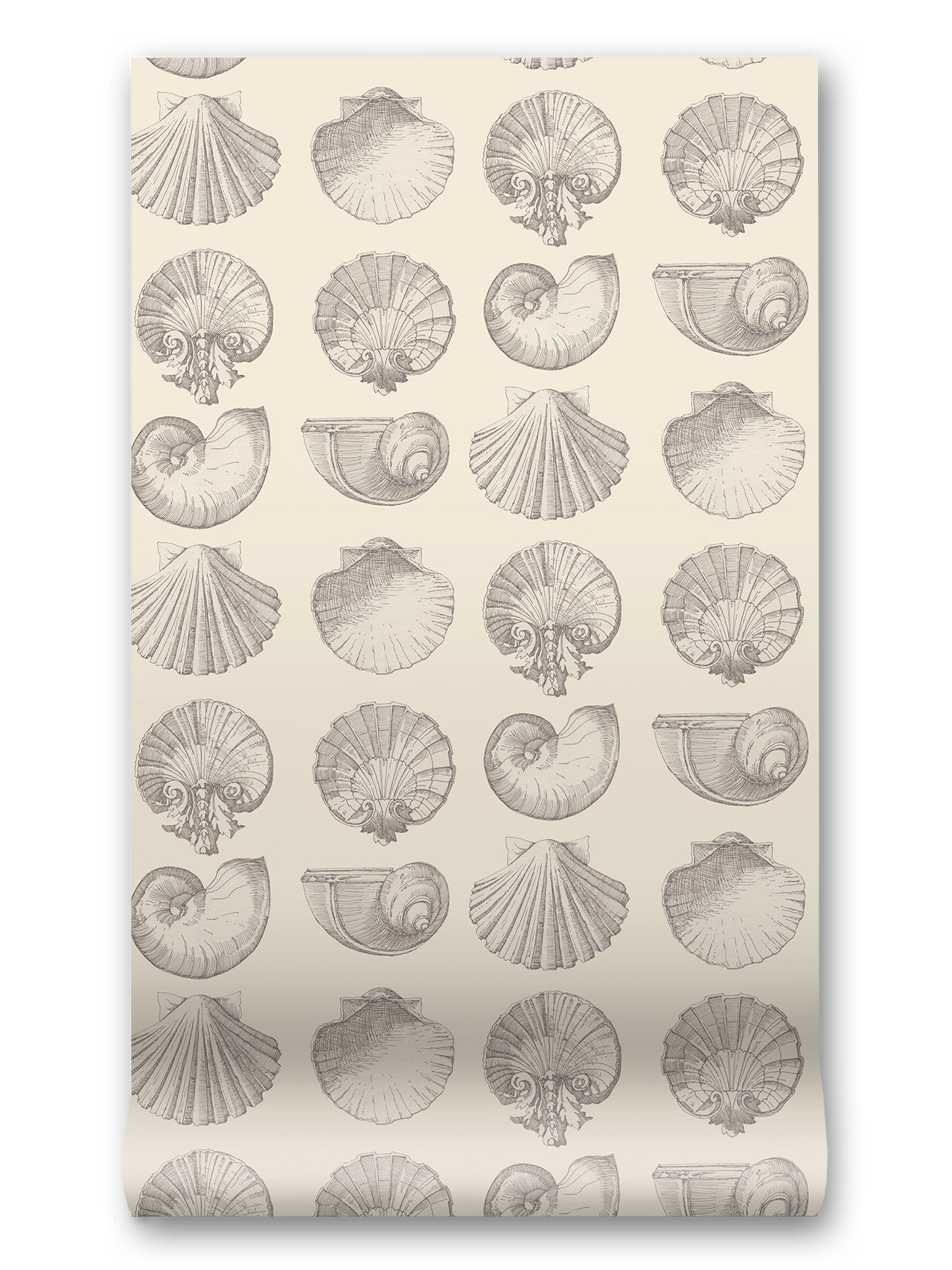 Salvador Wallpaper in Silence by Papier, third view