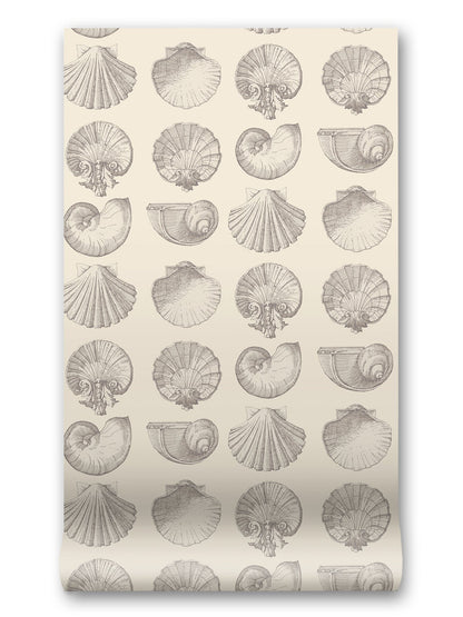 Salvador Wallpaper in Silence by Papier, third view