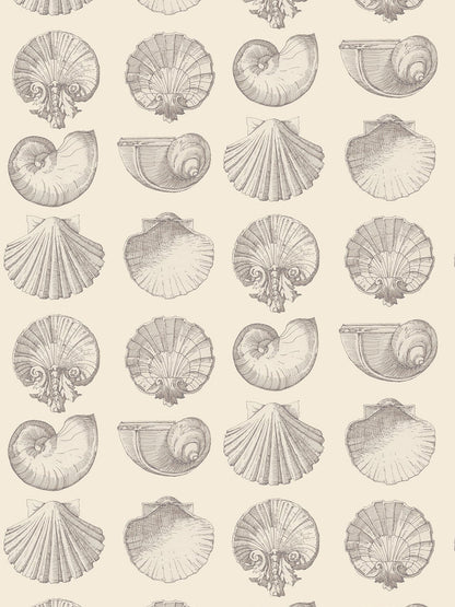 Loom Salvador  Wallpaper in Silence