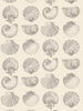 Loom Salvador  Wallpaper in Silence